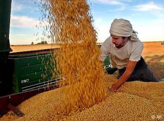Leandro Curia, a farm worker, distributes soybeans on a truck at a farm in Salto, some 190 kilometers, (120 miles) northeast of Buenos Aires, Argentina, Monday April 14, 2003. Farmers are among those benefiting the most from the peso devaluation last year as it had a direct impact on exporters in Argentina, such as grain companies that export grains. Farmers have been contributing substantially to the national treasury's chest through export taxes. Argentina, the world's third largest soybean producer, expects a record crop for 2003. (AP Photo/Gustavo Ercole)