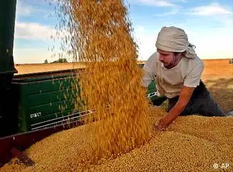 阿根廷大豆丰收，中国高兴
