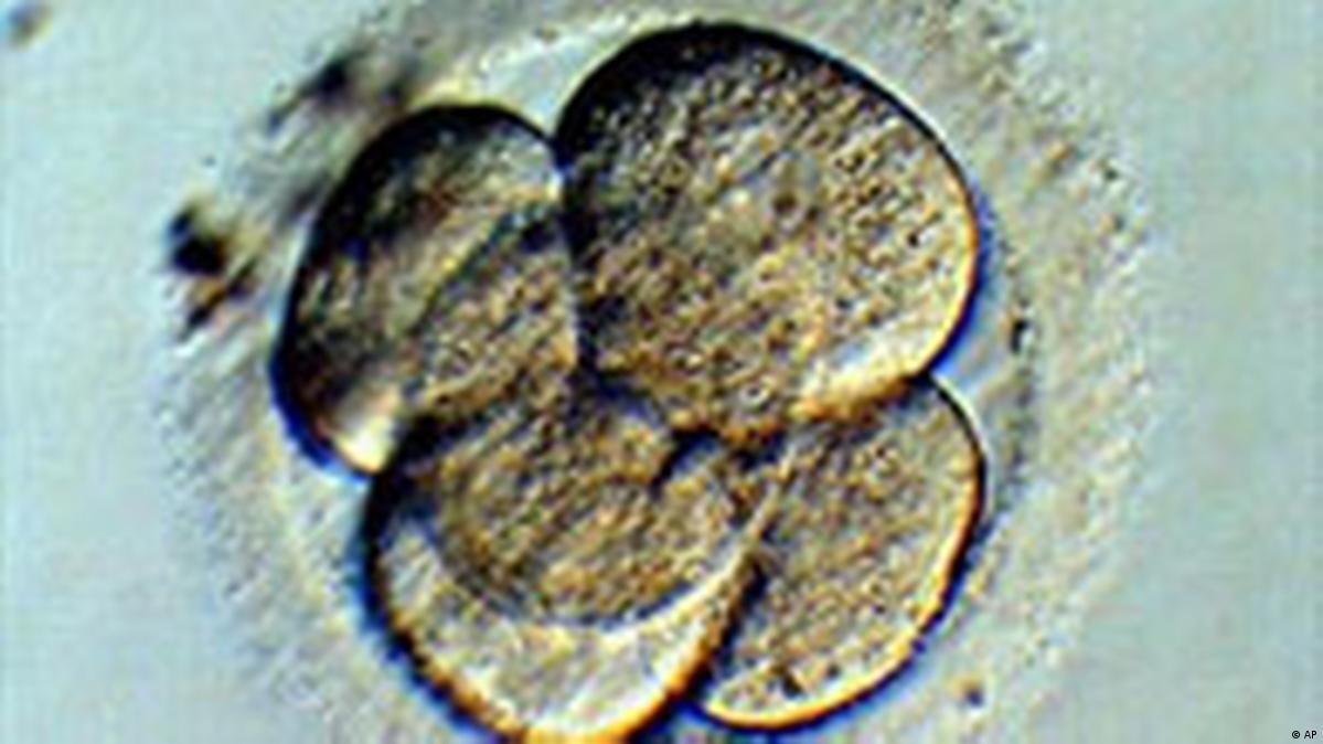 Ab Wann Ist Der Mensch Ein Mensch Wann ist ein Mensch ein Mensch? – DW – 31.10.2003