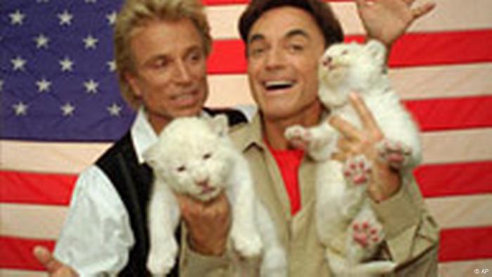 Die Superverdiener unter den Promis Alle multimedialen Inhalte der