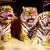 Three circus tigers