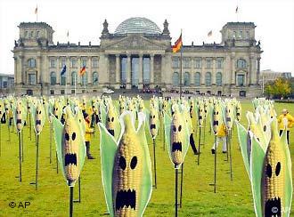 Greenpeace Germany Celebrates 25 Years Germany News And In Depth Reporting From Berlin And Beyond Dw 13 10 05